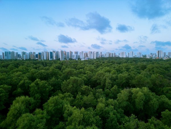 Quelle est la durée moyenne d'un rendez-vous au Centre Dentaire Anjou ?