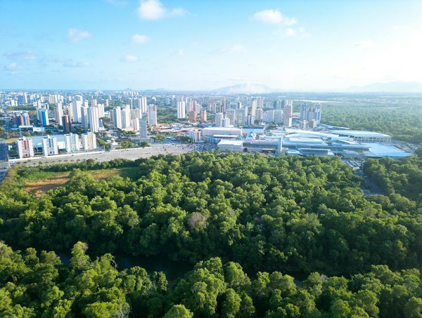 Bien immobilier loué : quid de la rentabilité