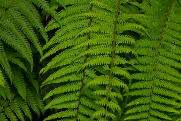 Quelles sont les meilleures pratiques pour le nettoyage de peau ?