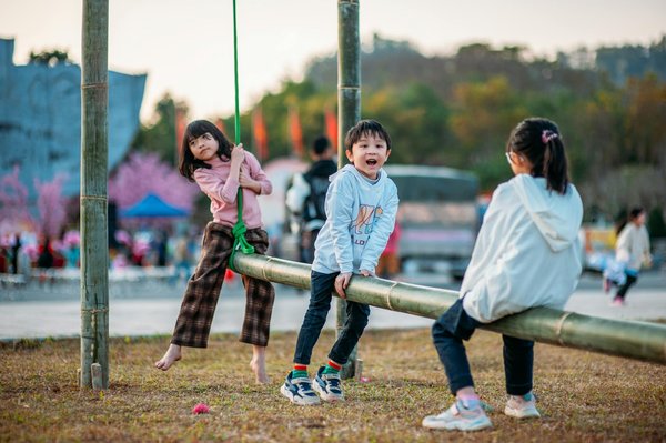Rénovation écologique : comment le DPE guide vos choix