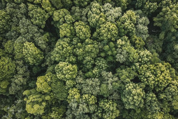 Plongez dans les offres de formation à Gien